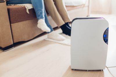 Basement Dehumidifier Service in Naples, FL