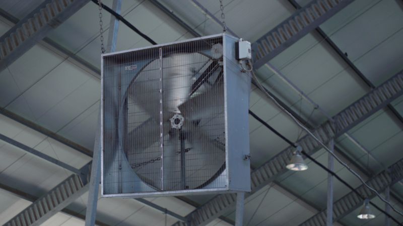 Garage Ceiling Fan Repair in Denver County, CO